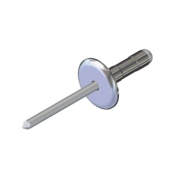 10mm Stainless large flange rivet